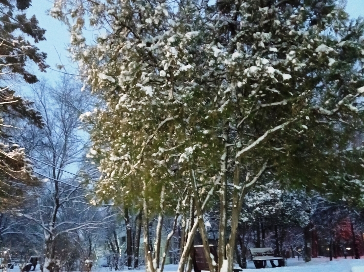 Сила магнитной бури 31 декабря составит 5 баллов: хорошее время для решения рабочих вопросов