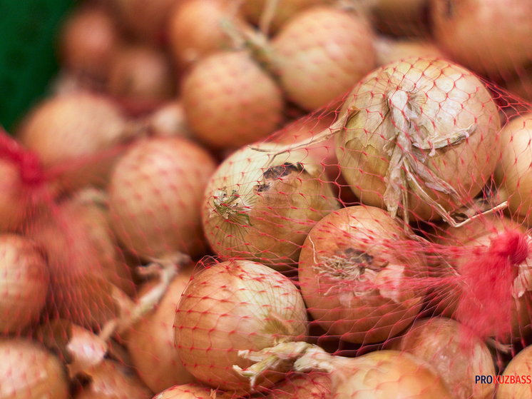 Россельхознадзор нашел нарушения при поставках лука в Кузбасс
