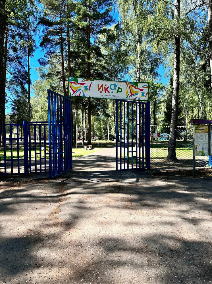 Принимать заявки на детский отдых-2026 во Владимире будут через Госуслуги