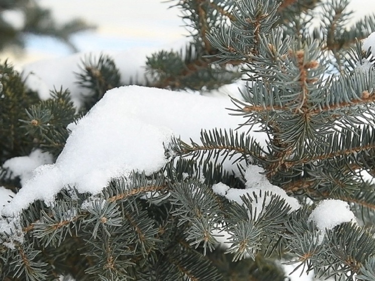 Слабый снегопад и гололедица ожидаются в Астраханской области 31 декабря