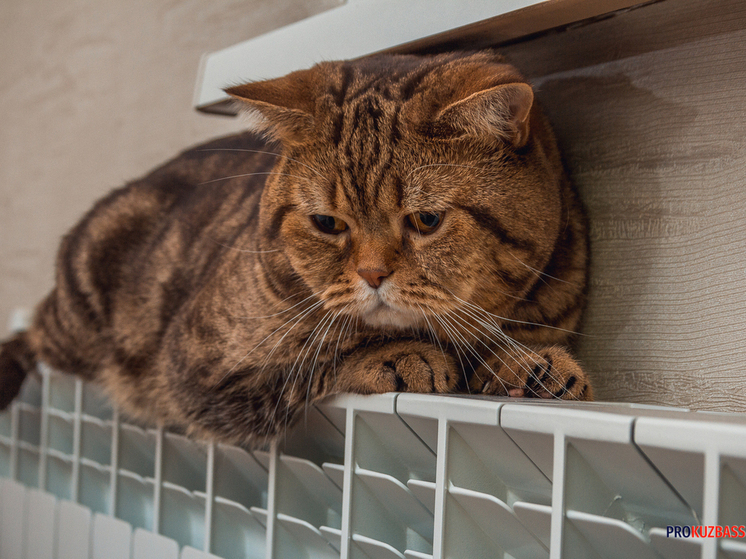 МЧС завершило работы по восстановлению отопления в Прокопьевском районе