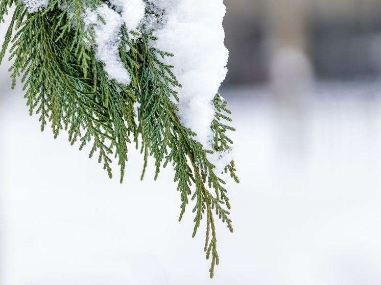 Снежные осадки и похолодания до -6°С установятся в Томске 31 декабря