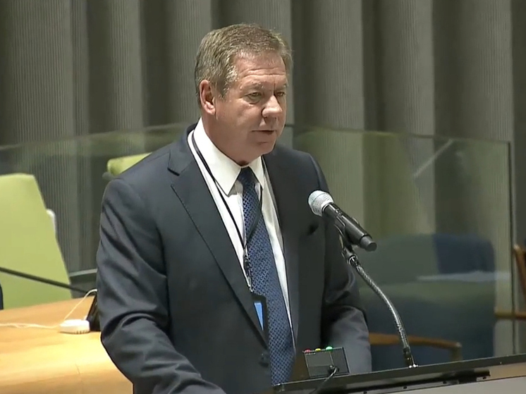 Гатилов: молчание УВКПЧ покрывает атаку Киева на резиденцию Путина