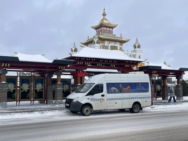 В столице Калмыкии в Новый год пассажирский транспорт будет работать по специальному графику