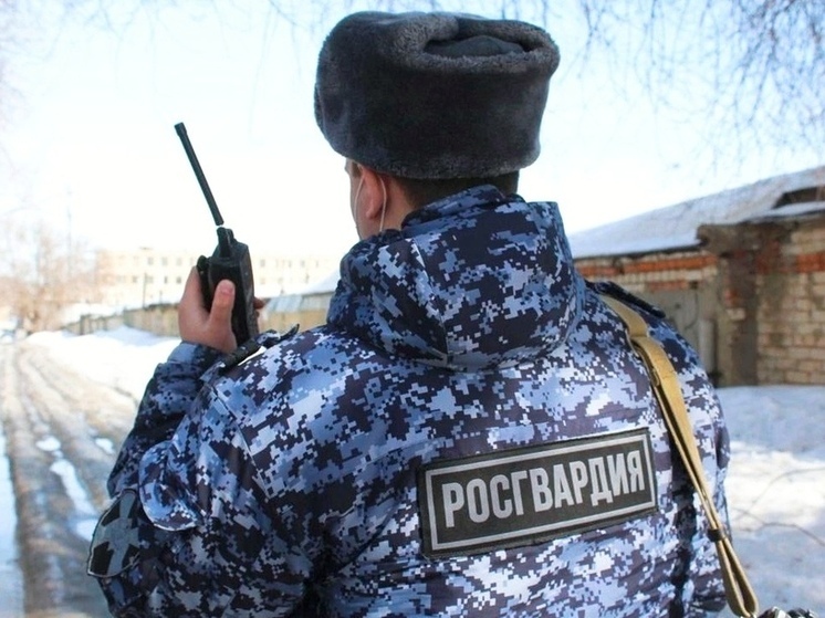 В Северодвинске задержали похитителя продуктов к праздничному столу