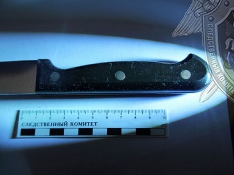 Следствие установило обстоятельства покушения на жителя Костромской области