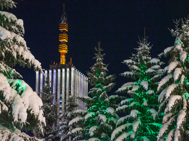 Погода 31 декабря в Архангельской области: мороз и штормовое
