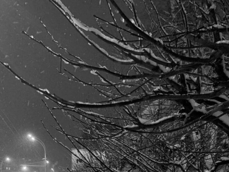 14-градусный мороз нагрянет в Воронеж в новогоднюю ночь