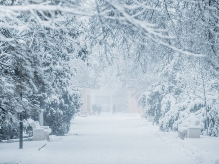 Снегопад при -13 градусах накроет Волгоградскую область 31 декабря 2025 года