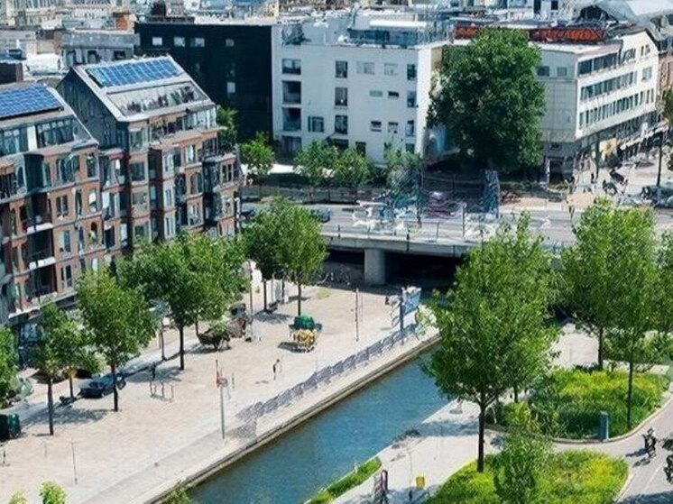 Объявлен конкурс на премию мэра Воронежа в сфере охраны окружающей среды в 2026 году