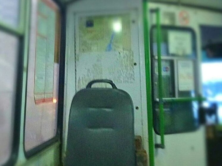 С 1 января в системе общественного транспорта Воронежа произойдут серьезные изменения