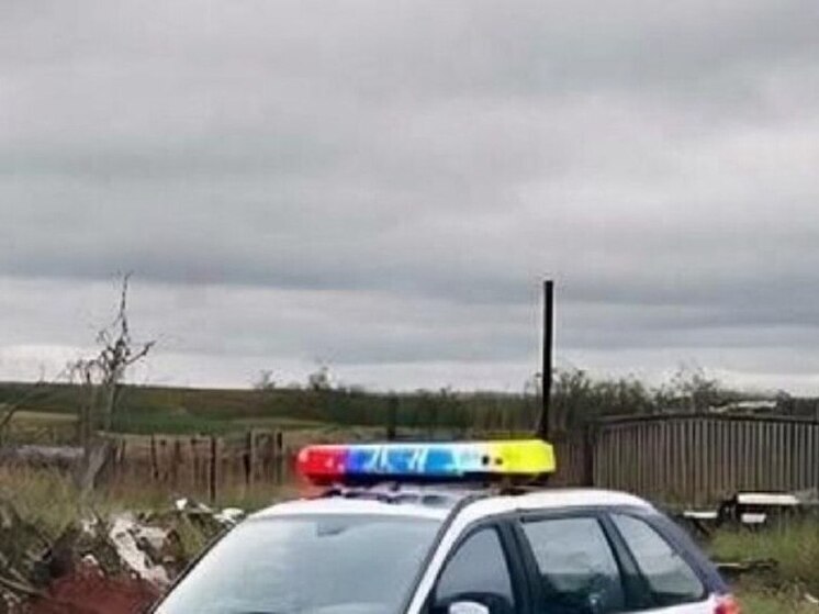 Иногороднего курьера мошенников задержали в воронежском дворе