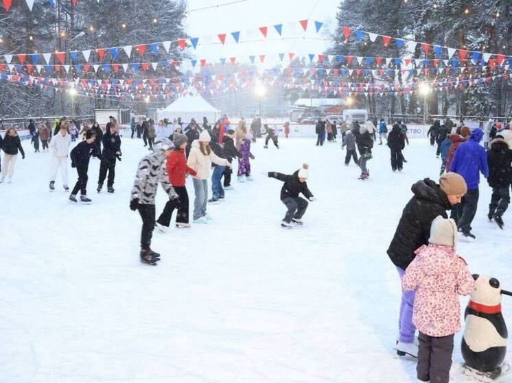 В Серпухове стартовал сезон «Рождественских катков»