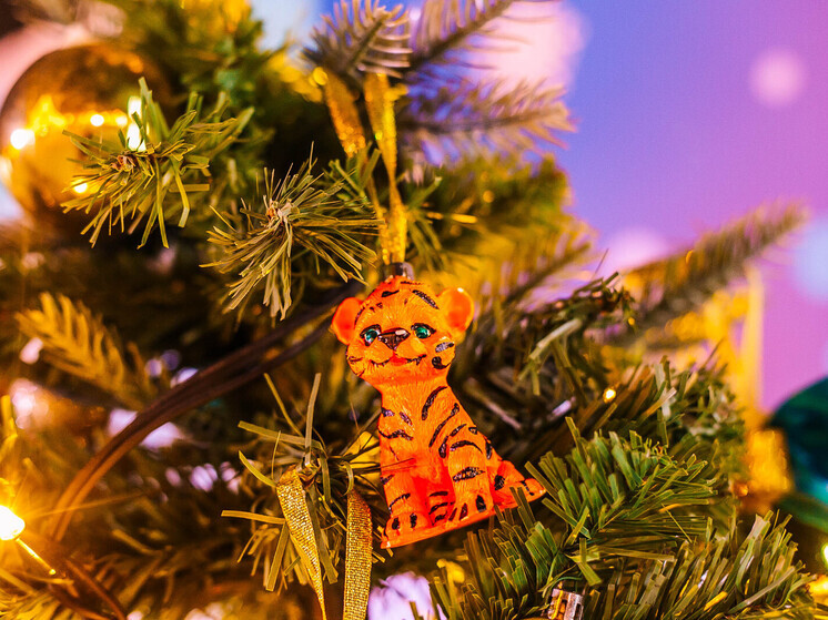 Гид по празднику: куда сходить во Владивостоке на новогодних каникулах