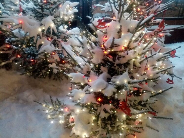 В новогодние праздники в Перми пройдут разнообразные мероприятия в учреждениях культуры, спорта и образования, а также мероприятия, организованные администрациями районов, ТОСами, общественными организациями