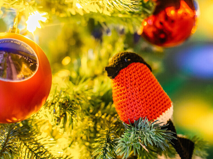 Главный синоптик Приморья Борис Кубай поздравляет с Новым годом