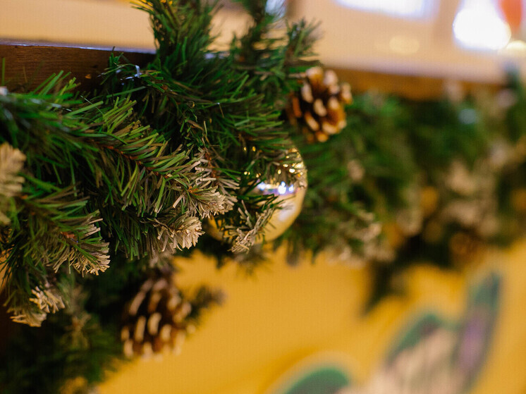 19 официальных точек: полный список адресов ёлочных базаров во Владивостоке