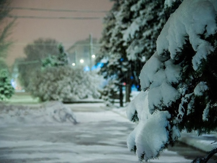 Мороз до -16 градусов обещают в Волгоградской области в первые дни 2026 года