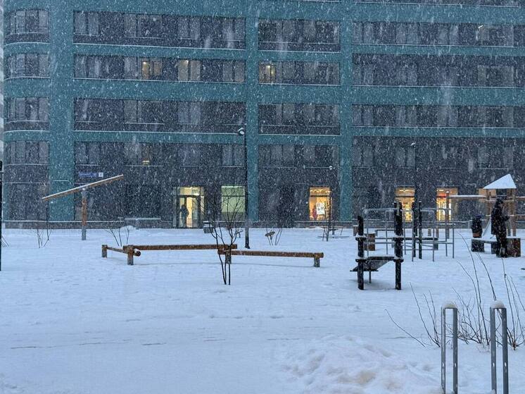 Петербуржцам пообещали снег и холодную новогоднюю ночь