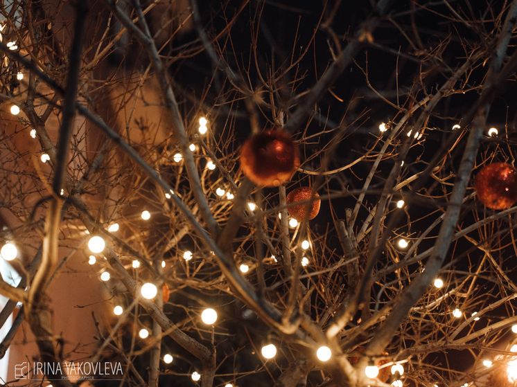 Пожар в Пряжинском районе произошёл из-за неисправной гирлянды