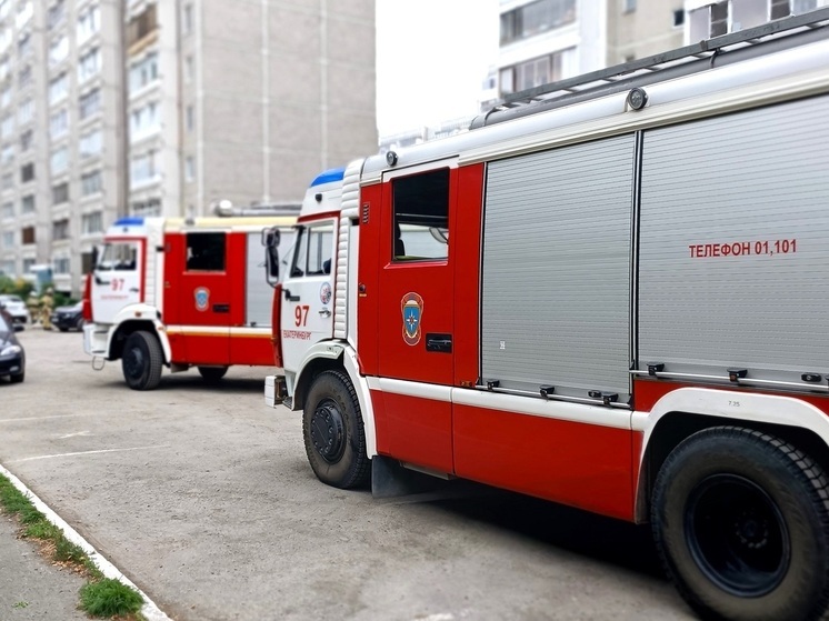 В Екатеринбурге сгорел павильон на Восточной