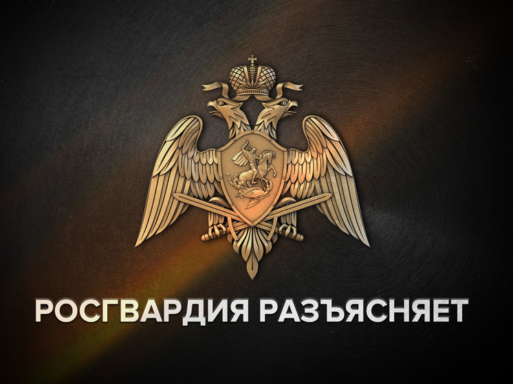 Росгвардия Поморья напоминает о правилах хранения оружия в праздники