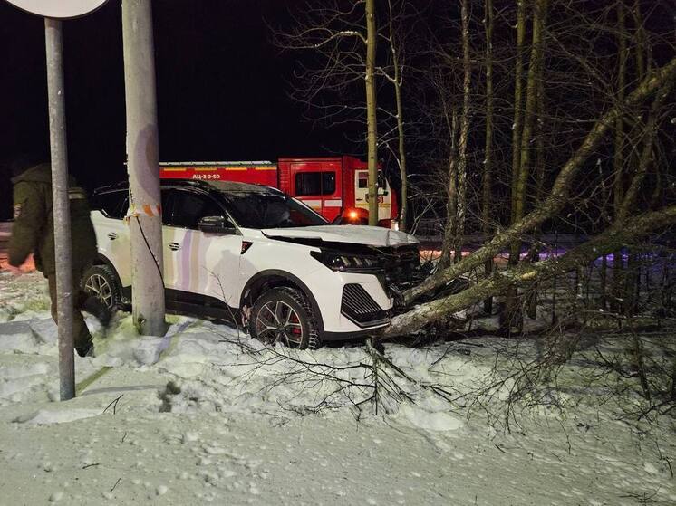 В лобовом столкновении на Дорожников в Кандалакше пострадал человек