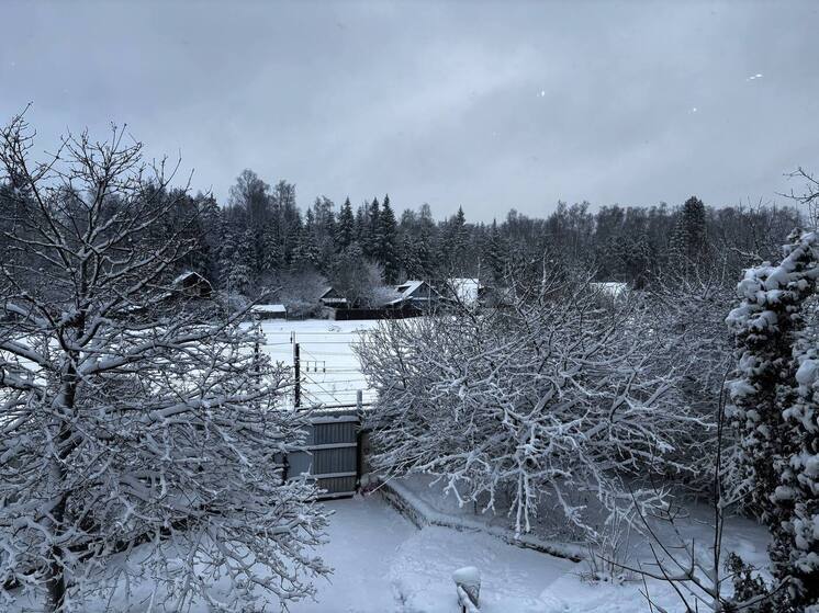 Синоптик Леус рассказал о сказочной погоде в новогодние праздники