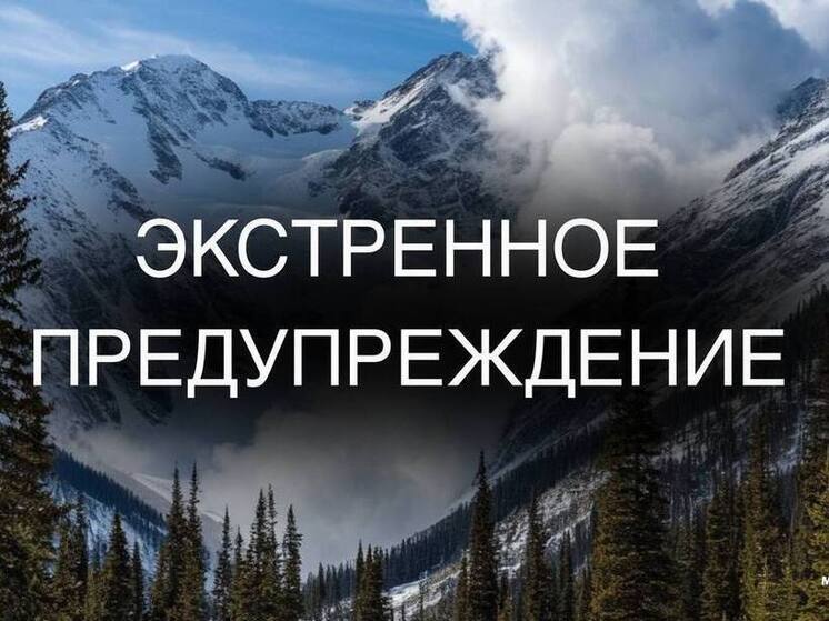 На территории семи районов Сахалина 1-2 января объявлена лавинная опасность