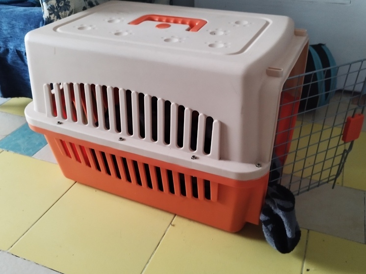 График работы ветеринарных клиник изменится в праздничные дни в Мурманской области