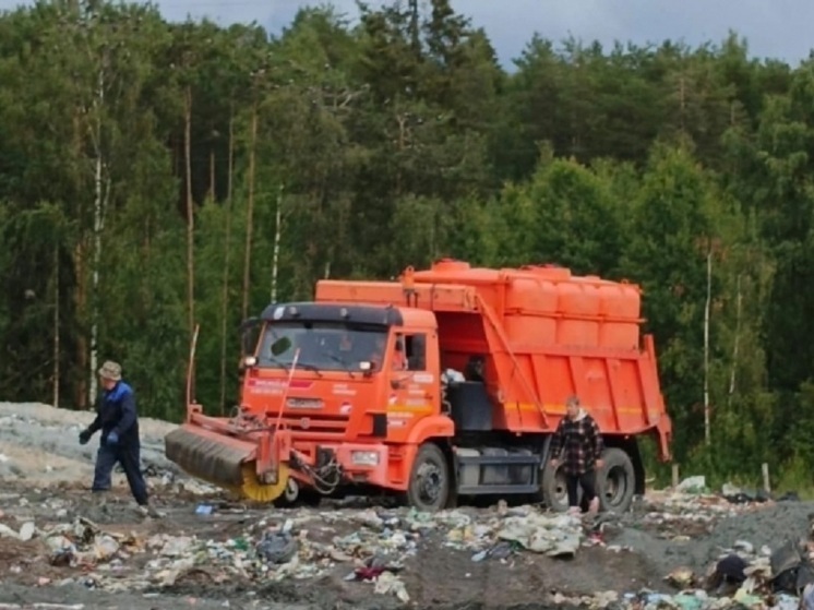 В Карелии прокуратура добивается ликвидации масштабной свалки