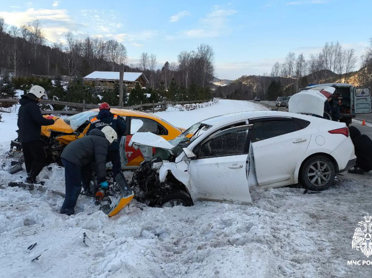 Два человека погибли и четыре пострадали в лобовом ДТП на Алтае под Новый год