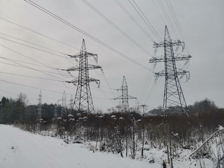 На ликвидацию обрыва ЛЭП в Новгородчине направили еще 64 бригады энергетиков