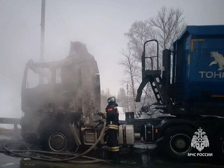 На трассе под Тулой пожар в грузовом автомобиле потушили 11 спасателей