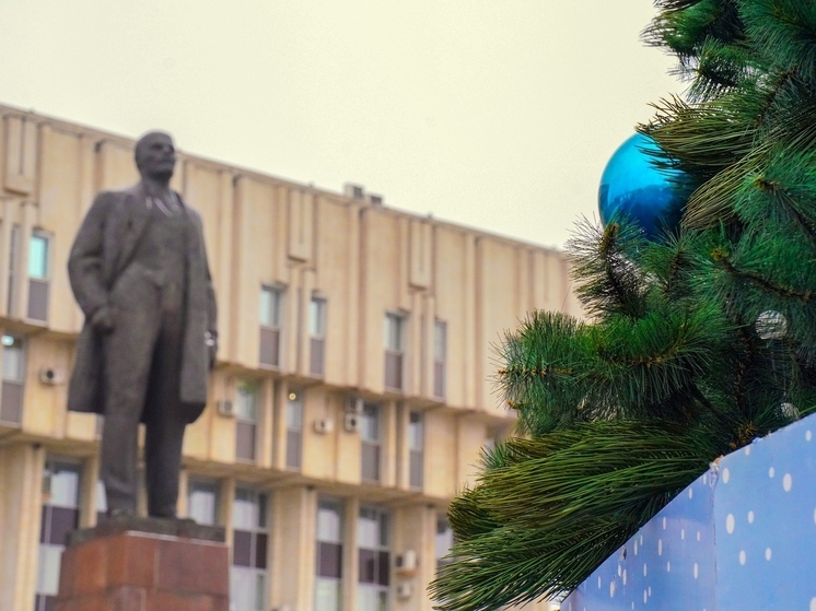 За порядком в Туле в последний день 2025 года проследит Денис Громов