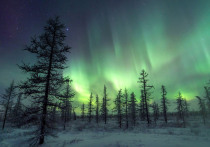 Вопреки всем прогнозам, Солнце сумело создать интригу на новогодние праздники