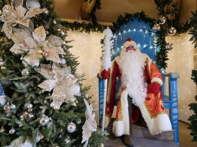 Волгоградские малыши раскрыли тайны Деда Мороза