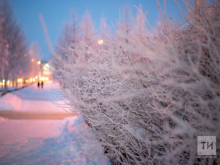 Синоптик Шувалов предупредил татарстанцев о январских температурных колебаниях