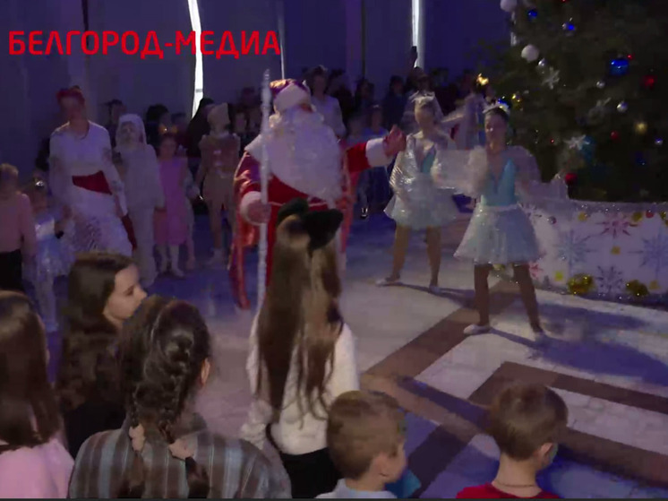 От победителей олимпиад до детей участников СВО: «Елка мэра» объединила юных белгородцев