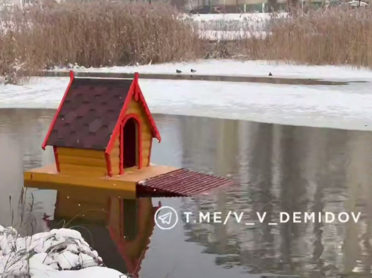 В Белгороде лебедь на Везелке получил теплый дом от коммунальщиков