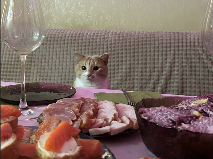 Роспотребнадзор Поморья напомнил правила безопасного застолья