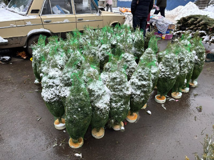 Елки и пиротехнику изымают из незаконной торговли в Нижнем