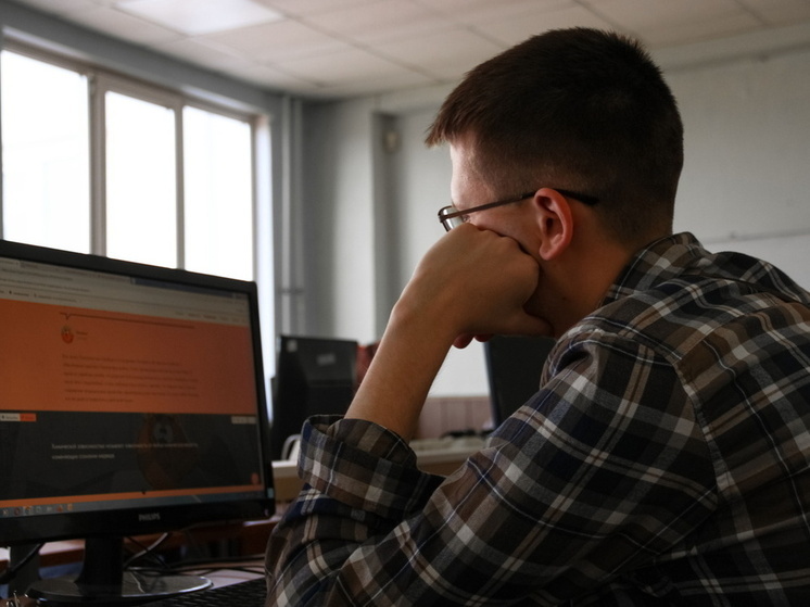 Депутат выступил за разблокировку детской игры, в которой орудовали мошенники