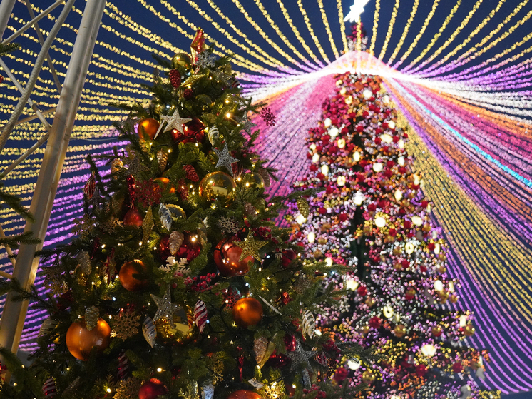 Эрк и Беспалов под Новый год: «Сила Тулы – в единстве»