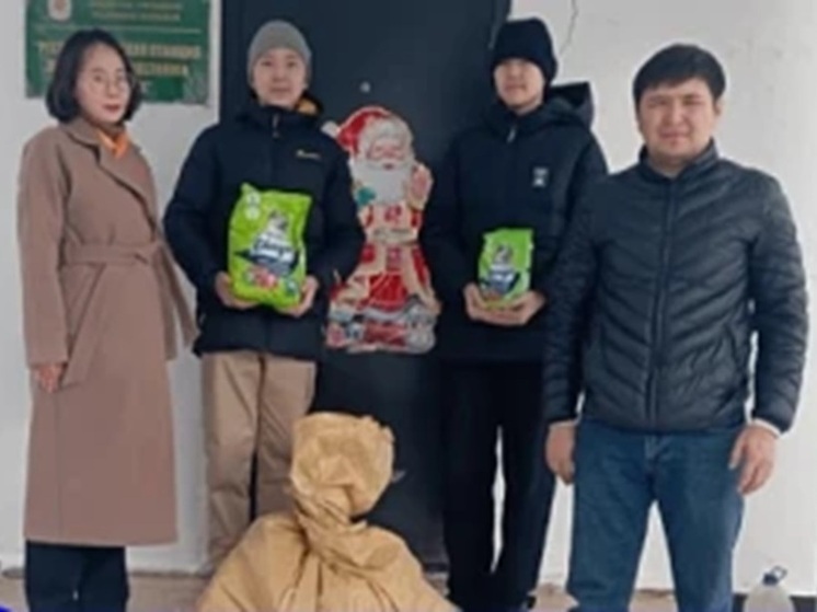 Школьники Элисты передали корм для бездомных собак