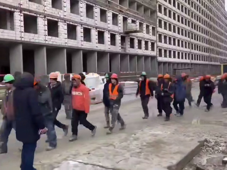 Силовики нашли в Новороссийске нелегальных работников и контрабандный табак