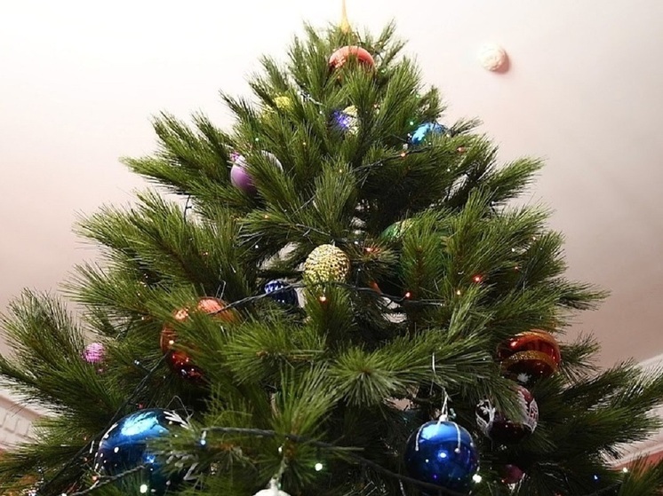 Волгоградцам рассказали, как продлить жизнь натуральной ели в домашних условиях