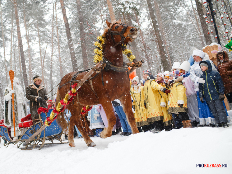 Мэр Таштагола приглашает на встречу с новогодним конём Веней