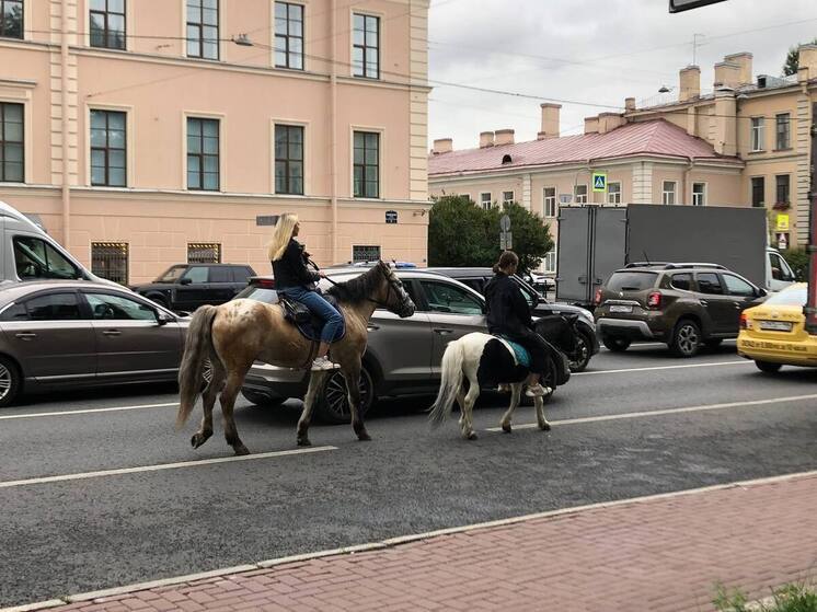 Конные экипажи хотят сделать официальным транспортом Петербурга