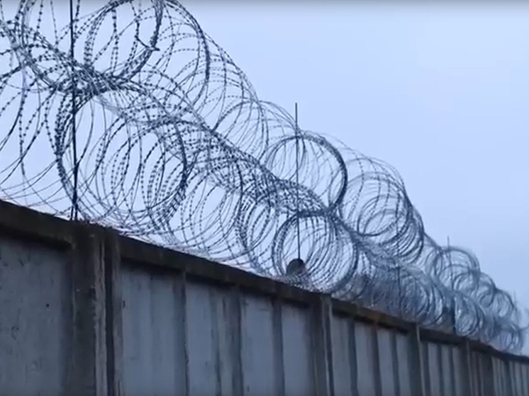 Названо самоме популярное для заказа новогоднее блюдо в московских СИЗО